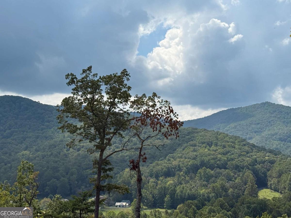 0 Bethabara View, Unit 11 Hayesville, NC 28904 - Photo 2 of 11