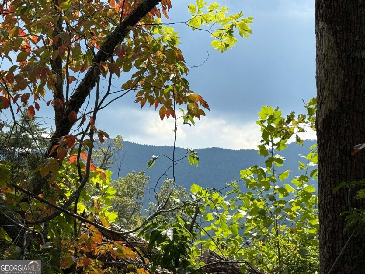 0 Bethabara View, Unit 11 Hayesville, NC 28904 - Photo 4 of 11