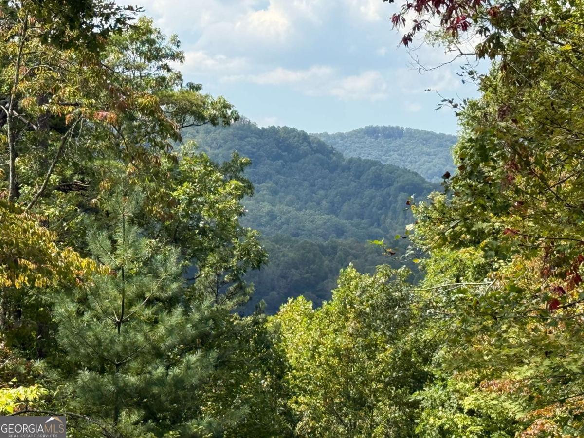 0 Bethabara View, Unit 11 Hayesville, NC 28904 - Photo 5 of 11