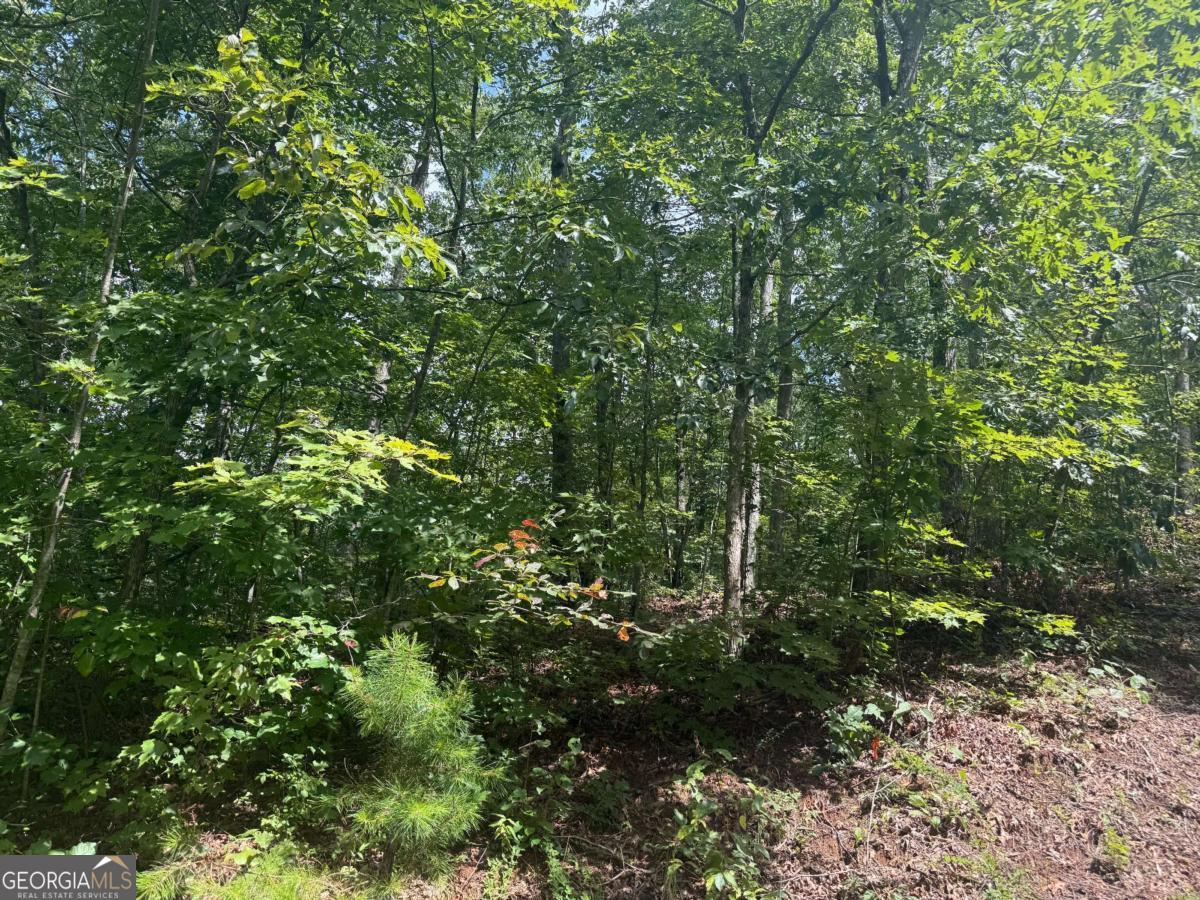 0 Bethabara View, Unit 11 Hayesville, NC 28904 - Photo 7 of 11