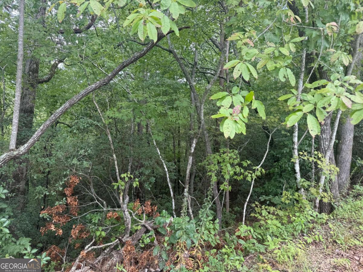 0 Bethabara View, Unit 11 Hayesville, NC 28904 - Photo 8 of 11