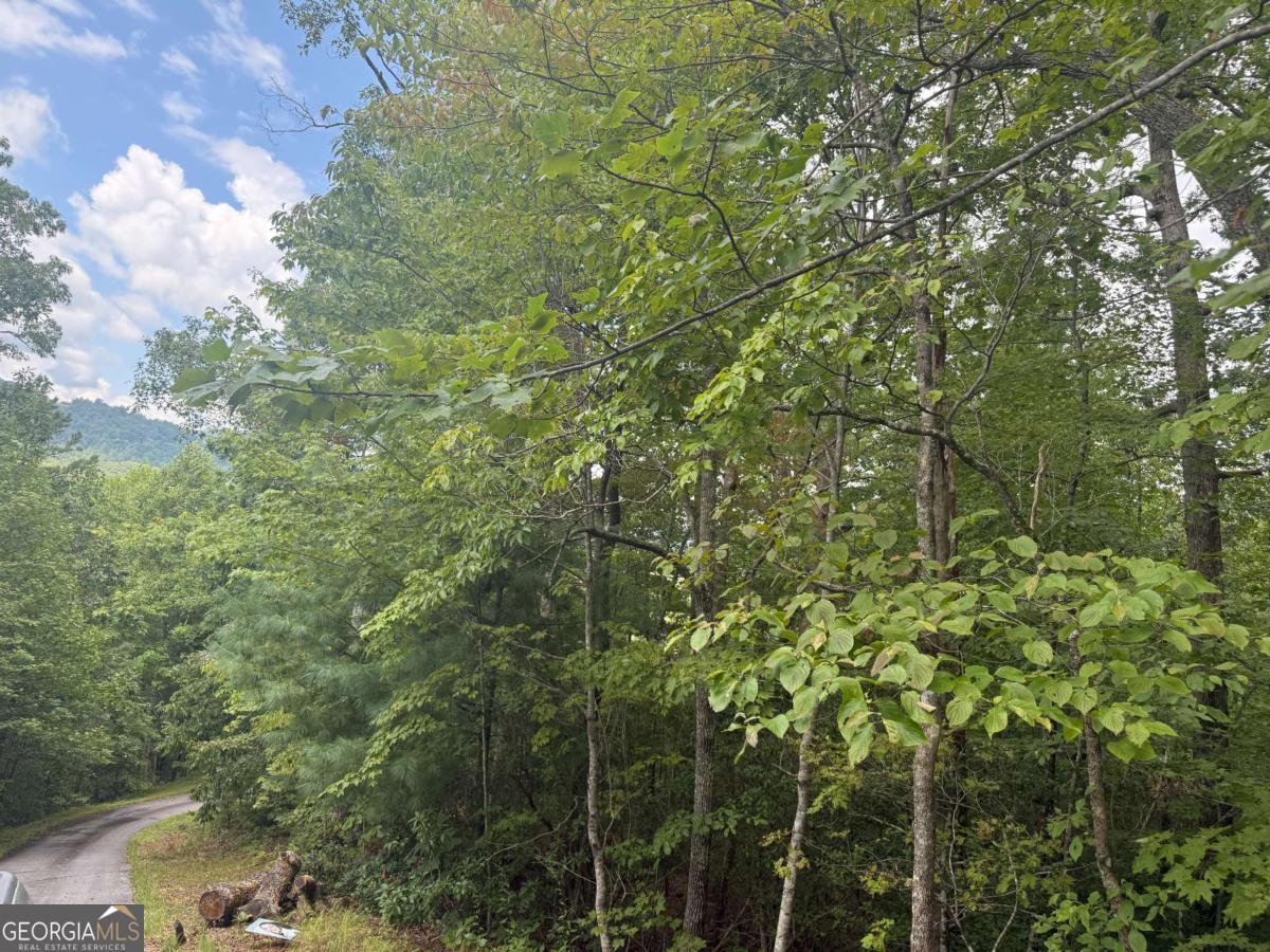 0 Bethabara View, Unit 11 Hayesville, NC 28904 - Photo 9 of 11