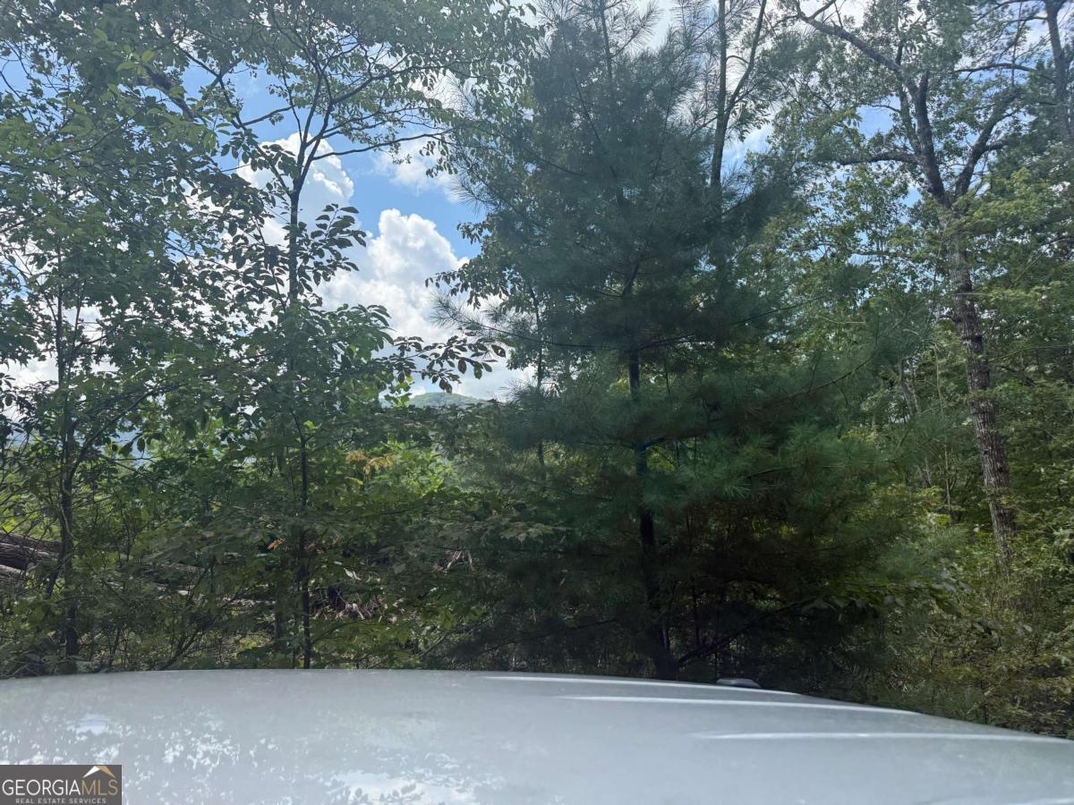 0 Bethabara View, Unit 11 Hayesville, NC 28904 - Photo 10 of 11