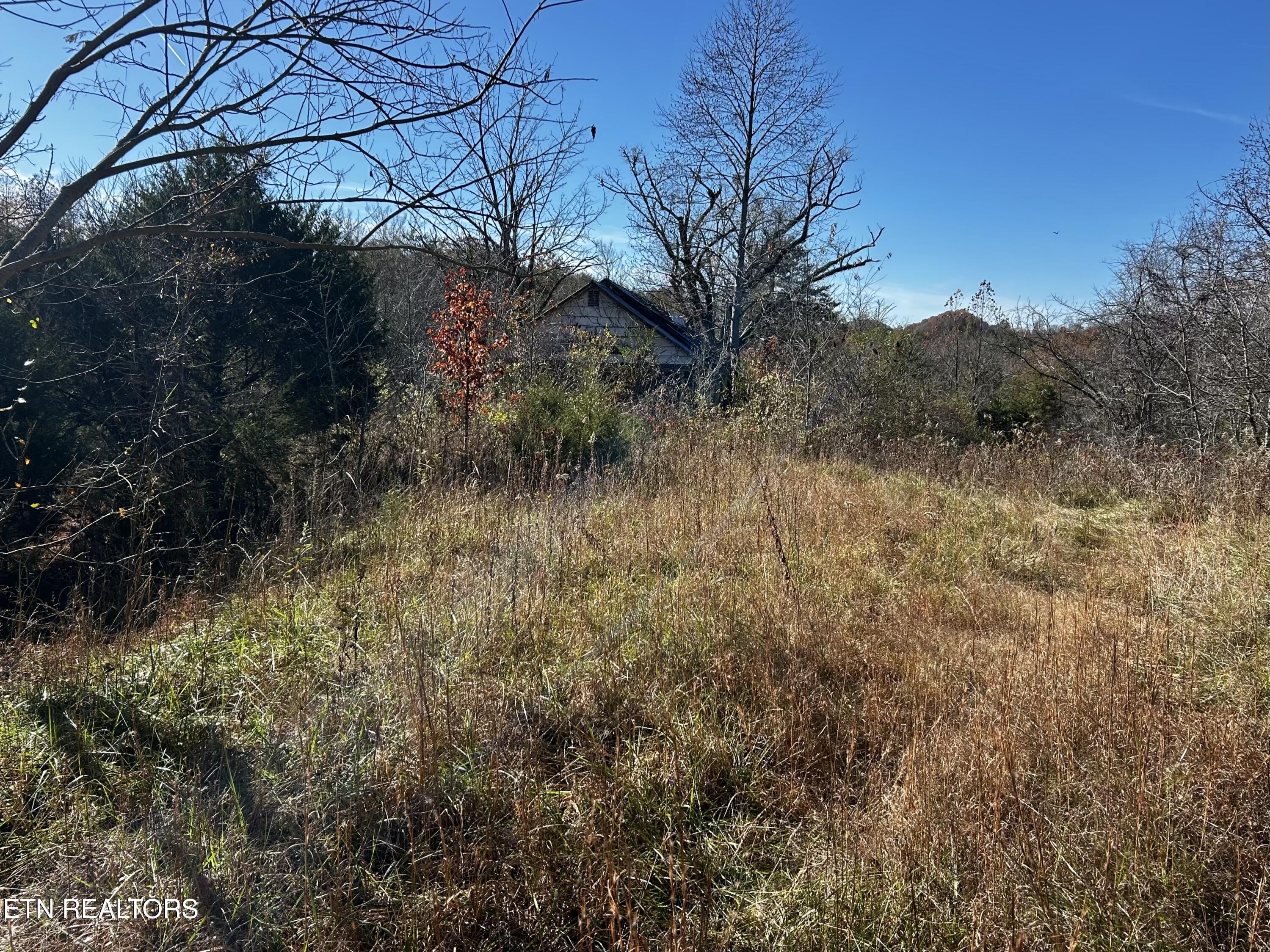 Shaddon Road Tellico Plains, TN 37385 - Photo 3 of 5 IMG_7641