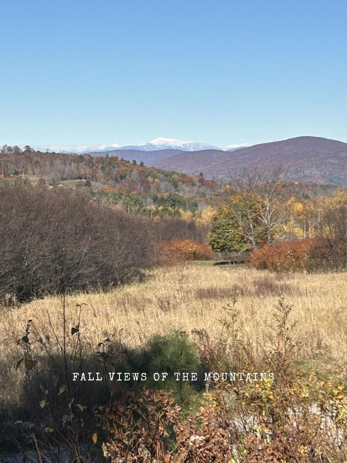 27 G Pease Hill Road Cornish, ME 04020 - Photo 9 of 25 Fall views of the mountains