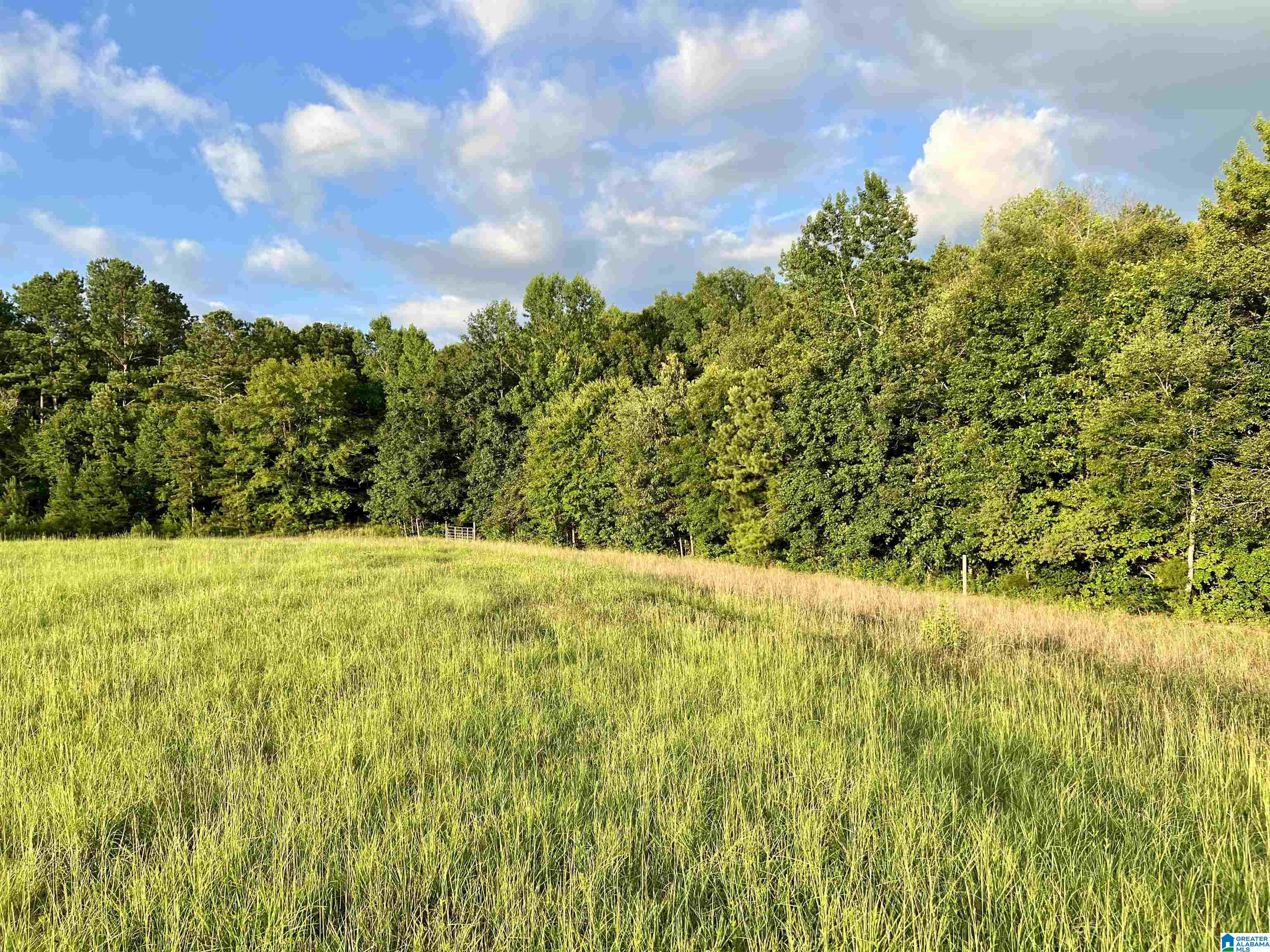 1515 Kelly Ranch Road, Unit 138 ACRES / Talladega, AL 35160 - Photo 13 of 42