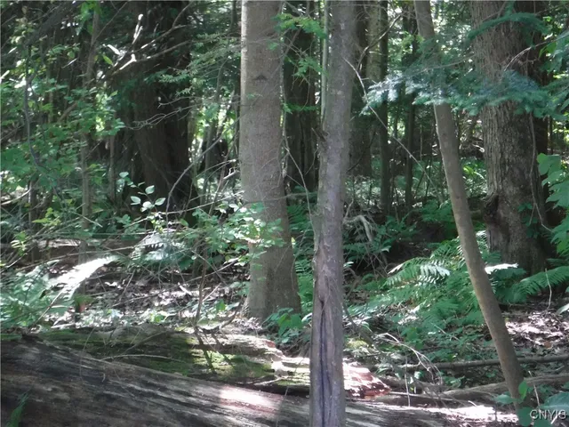 $60,000 | 0 Shady Lane, Blossvale, NY 13308