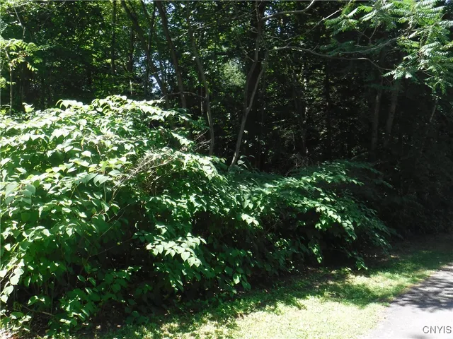 $60,000 | 0 Shady Lane, Blossvale, NY 13308