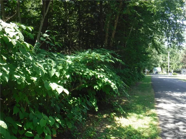 $60,000 | 0 Shady Lane, Blossvale, NY 13308