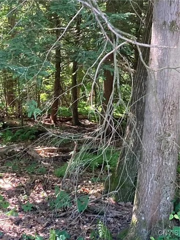 $60,000 | 0 Shady Lane, Blossvale, NY 13308