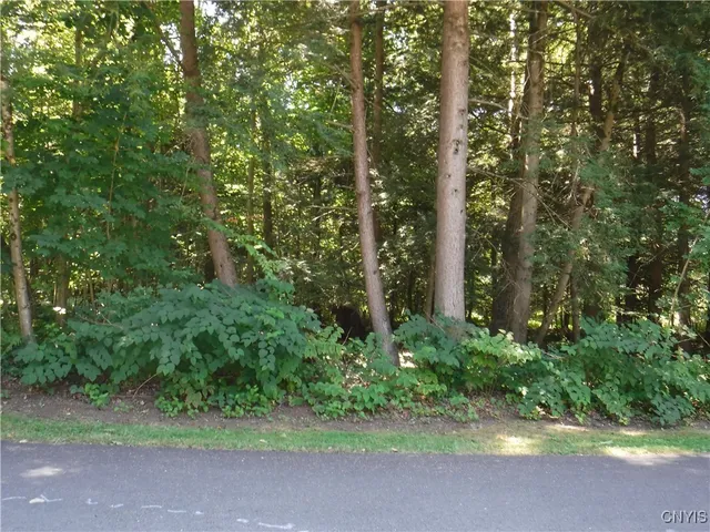 $60,000 | 0 Shady Lane, Blossvale, NY 13308