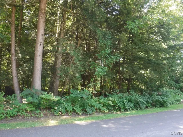 $60,000 | 0 Shady Lane, Blossvale, NY 13308