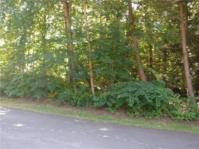 $60,000 | 0 Shady Lane, Blossvale, NY 13308