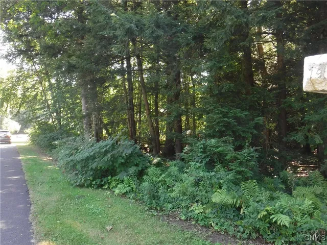 $60,000 | 0 Shady Lane, Blossvale, NY 13308