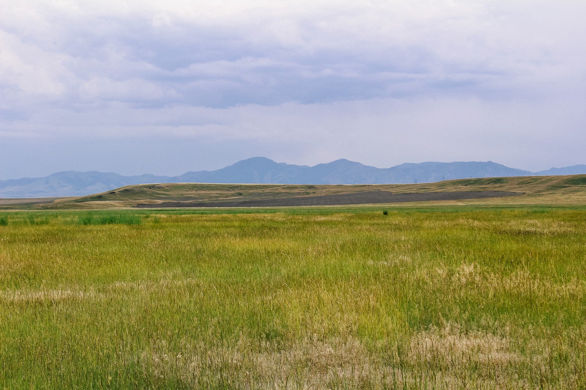 Little Little Muddy Creek Ranch Cascade, MT 59421 - Photo 21 of 41 Gallery Image 21