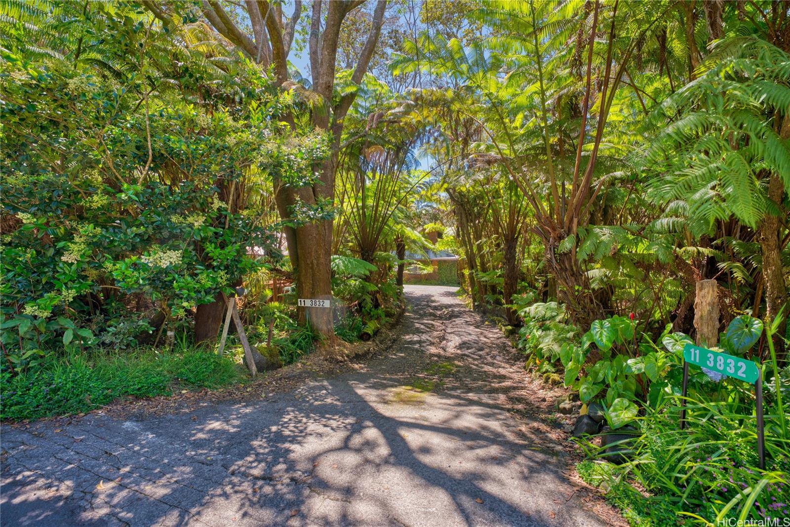 11-3832 2nd Street Volcano, HI 96785 - Photo 2 of 25 a pathway of a yard