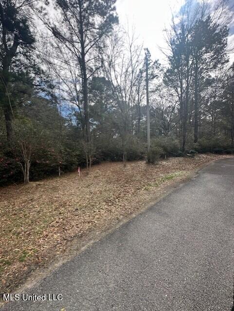 15538 Touriel Road Gulfport, MS 39503 - Photo 1 of 7 Lot 7