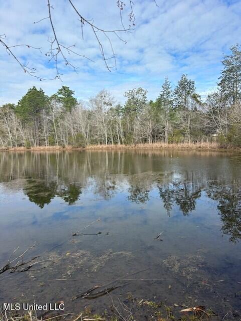 15538 Touriel Road Gulfport, MS 39503 - Photo 5 of 7 Pond 3