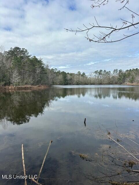 15538 Touriel Road Gulfport, MS 39503 - Photo 6 of 7 Pond 4