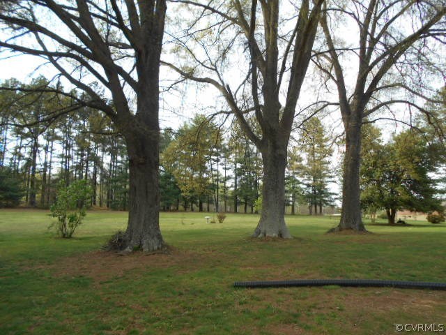 10 Jamestown Road Farmville, VA 23901 - Photo 17 of 20 a view of trees with a park