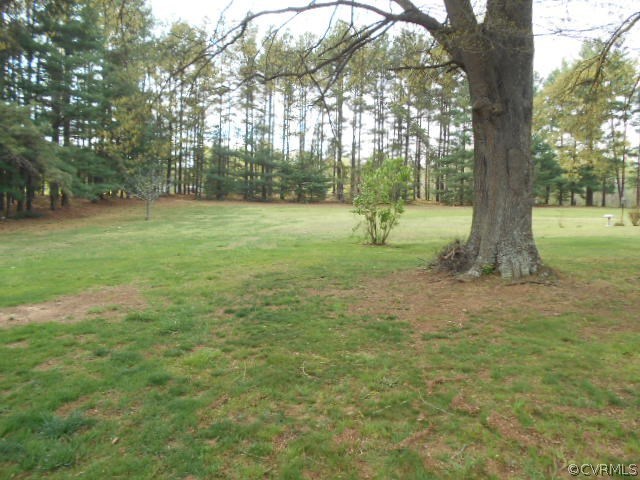 10 Jamestown Road Farmville, VA 23901 - Photo 18 of 20 a view of a yard with a tree
