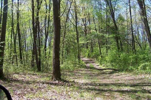 11835 Braden Road Byron, MI 48418 - Photo 15 of 15 20211367-14.JPG