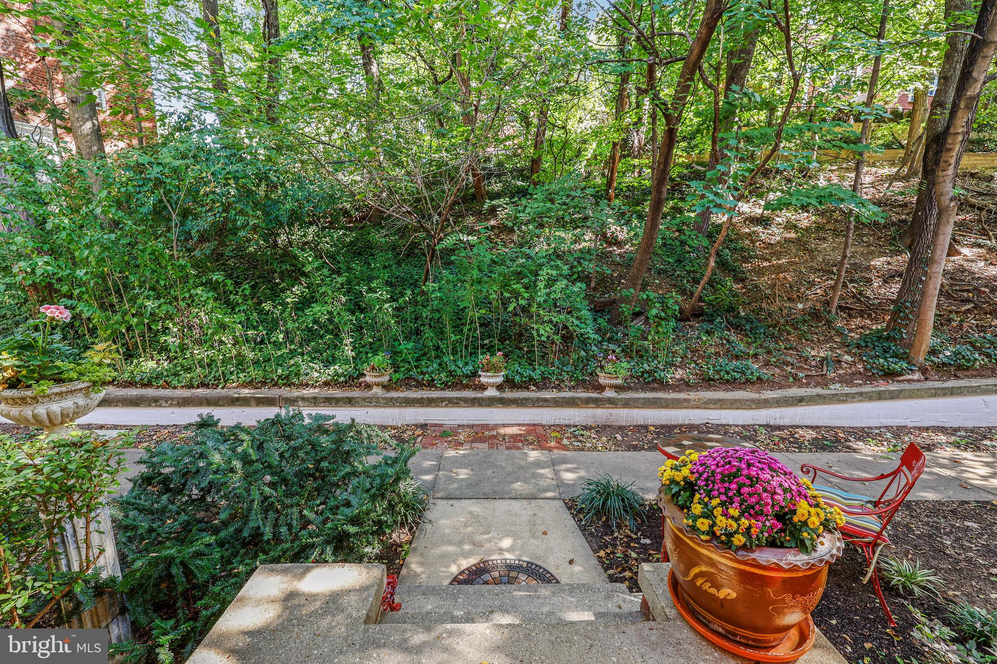 3519 Valley Drive Alexandria, VA 22302 - Photo 21 of 54