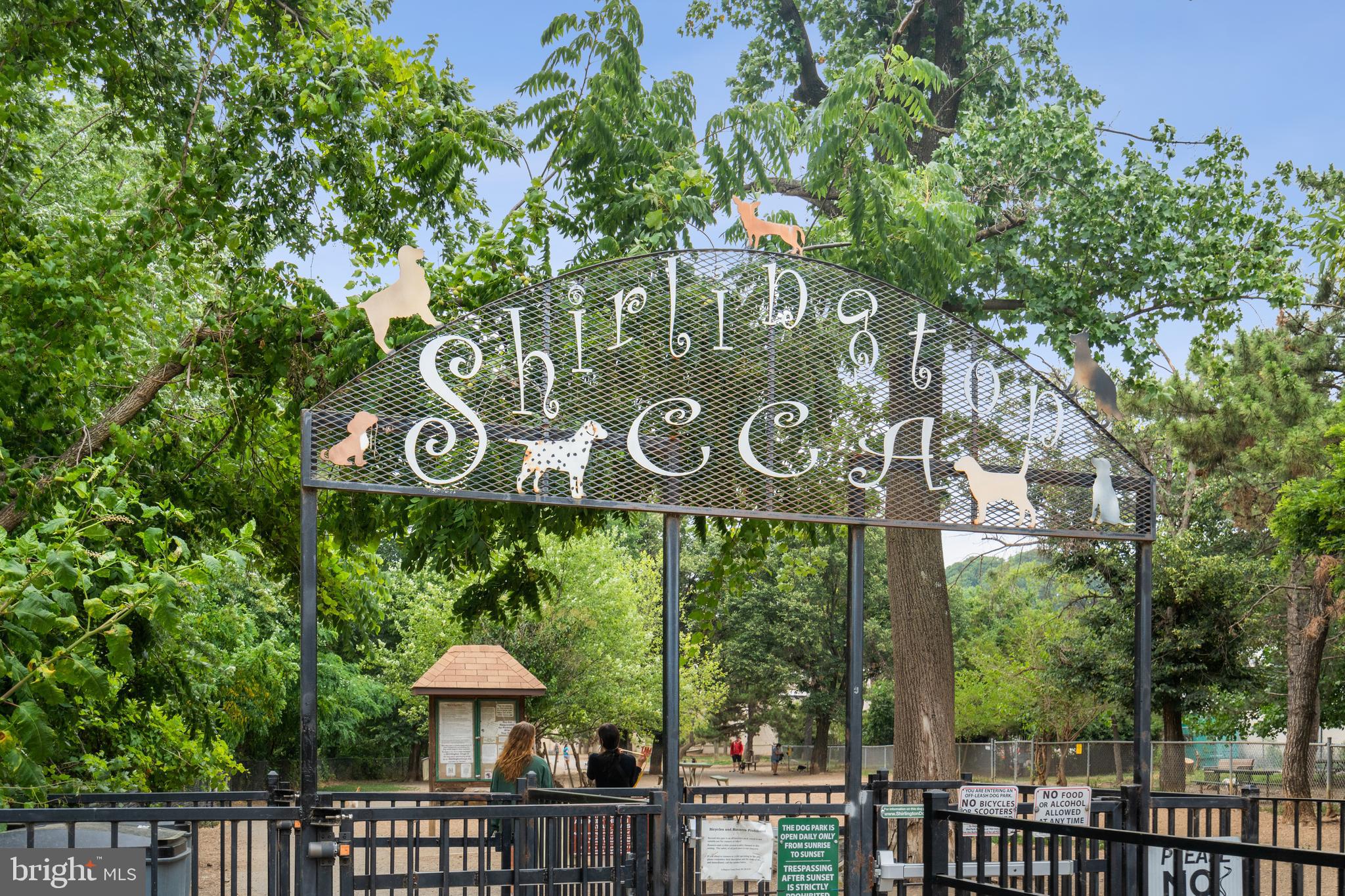 3519 Valley Drive Alexandria, VA 22302 - Photo 38 of 54 a view of a sign board with a large tree