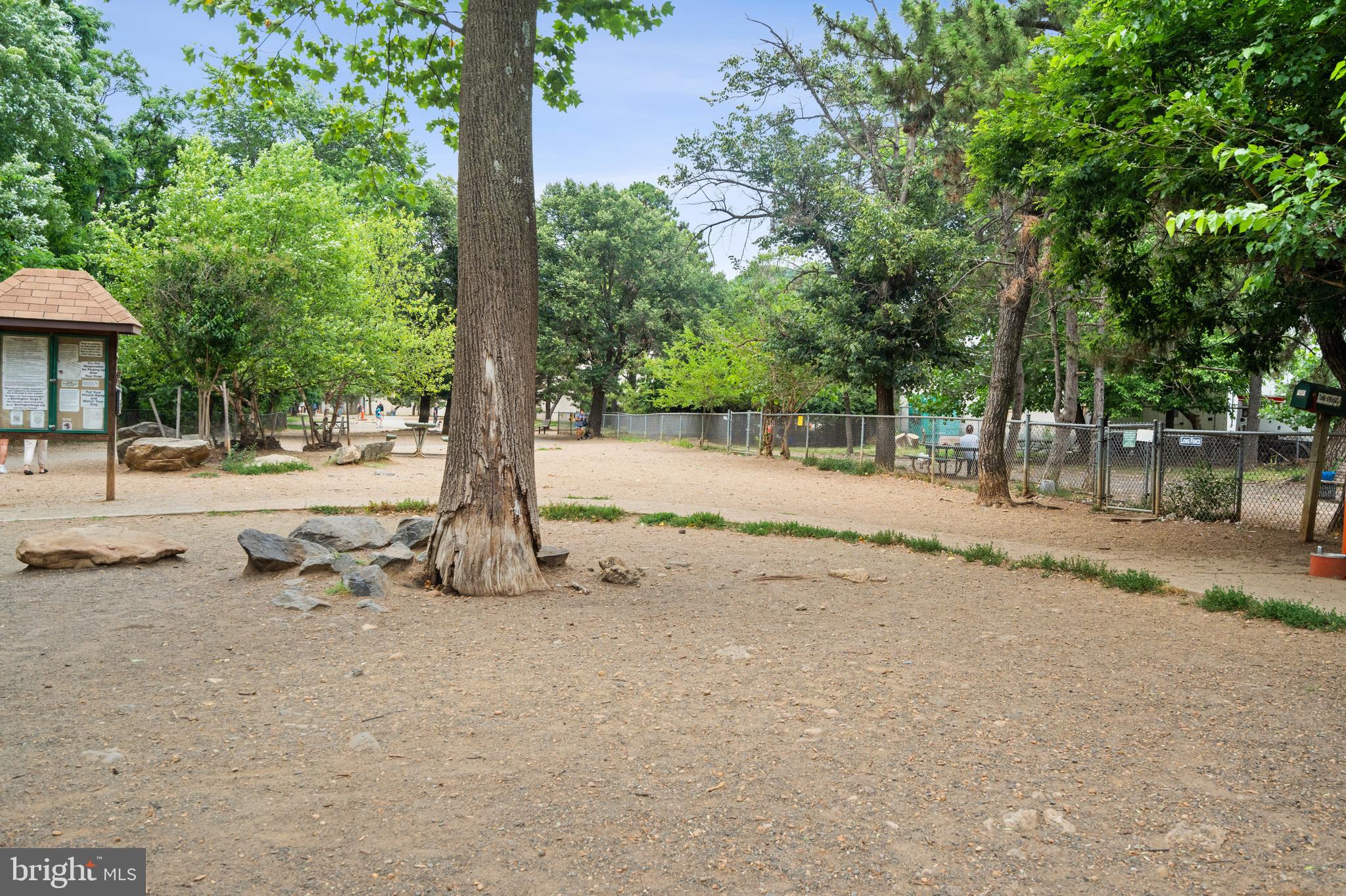 3519 Valley Drive Alexandria, VA 22302 - Photo 39 of 54 a row of dirt field with trees in front of it