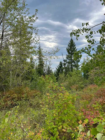 $95,000 | 34 Peace Rdg Road, Kettle Falls, WA 99141