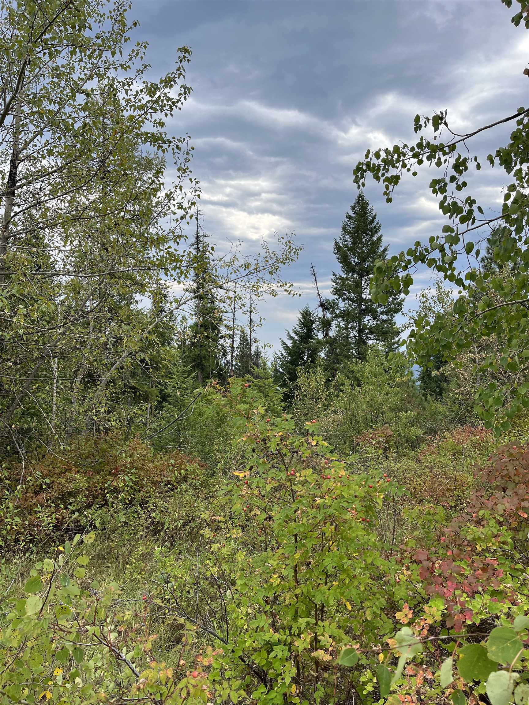 34 Peace Rdg Road Kettle Falls, WA 99141 - Photo 14 of 24