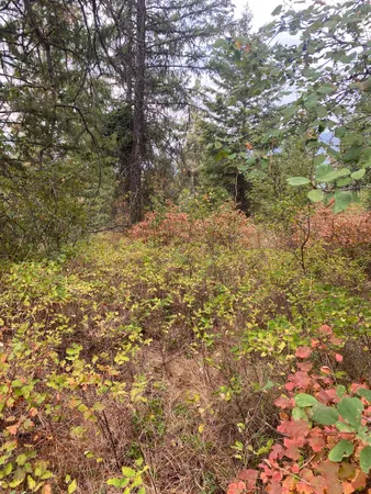 $95,000 | 34 Peace Rdg Road, Kettle Falls, WA 99141