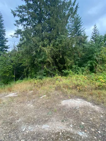 $95,000 | 34 Peace Rdg Road, Kettle Falls, WA 99141