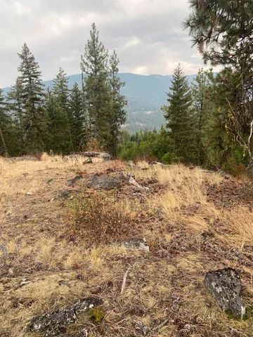 $95,000 | 34 Peace Rdg Road, Kettle Falls, WA 99141