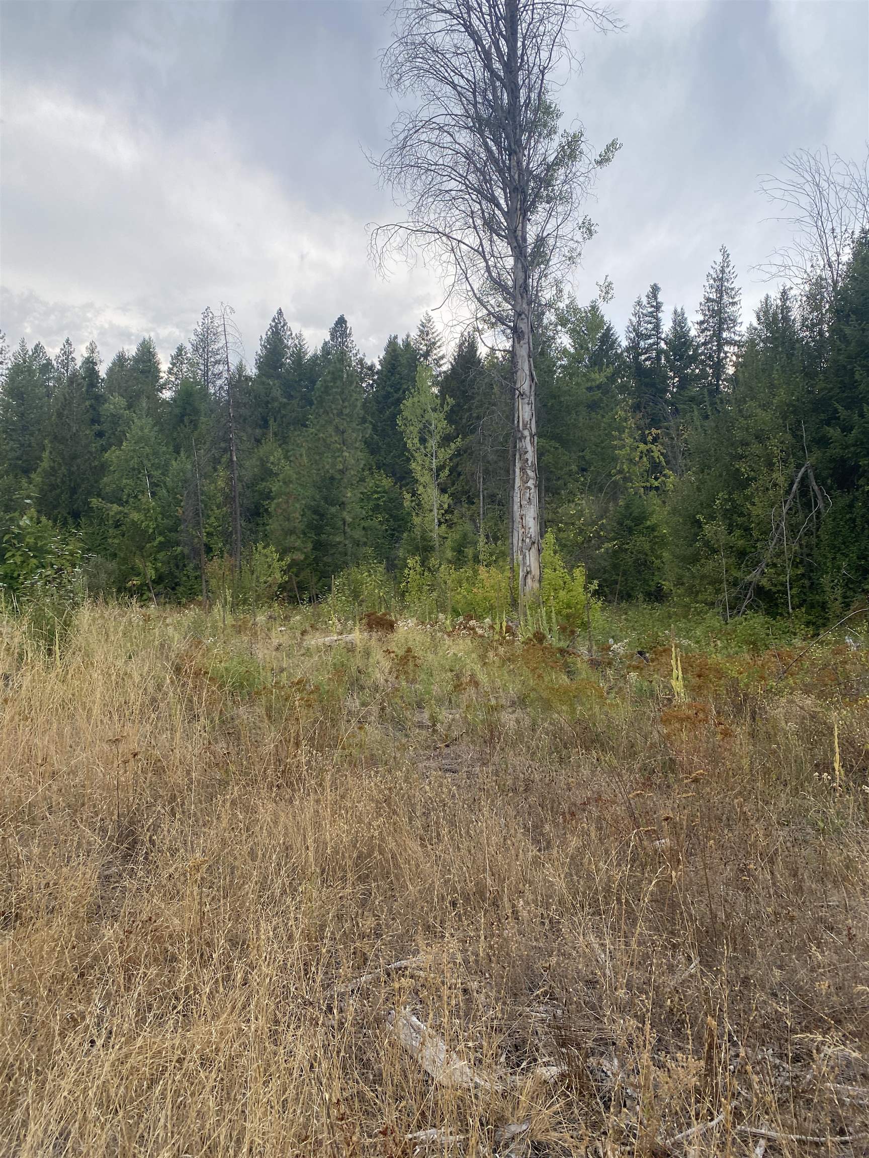 34 Peace Rdg Road Kettle Falls, WA 99141 - Photo 21 of 24