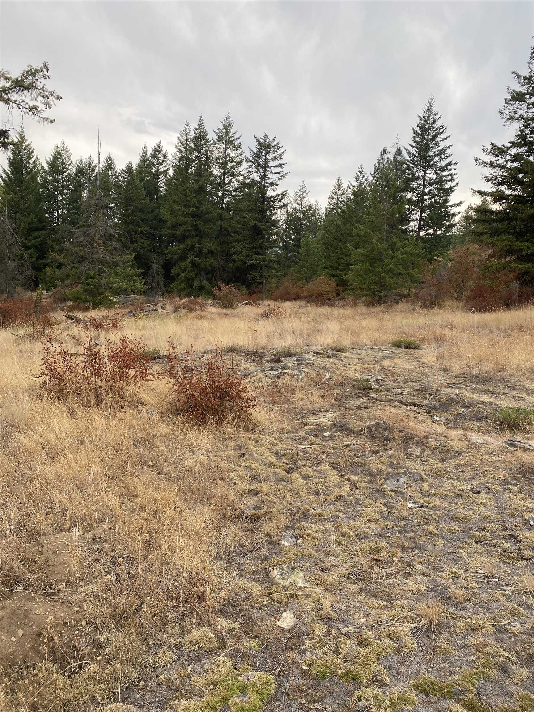 34 Peace Rdg Road Kettle Falls, WA 99141 - Photo 23 of 24