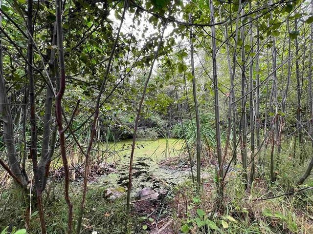 $95,000 | 34 Peace Rdg Road, Kettle Falls, WA 99141