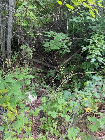 $95,000 | 34 Peace Rdg Road, Kettle Falls, WA 99141