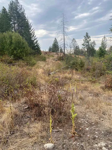 $95,000 | 34 Peace Rdg Road, Kettle Falls, WA 99141