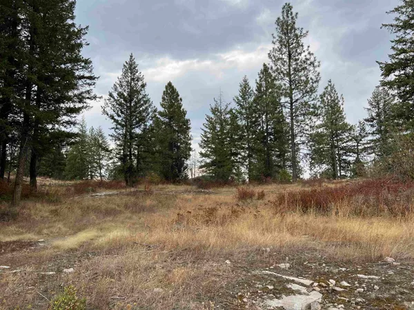 $95,000 | 34 Peace Rdg Road, Kettle Falls, WA 99141