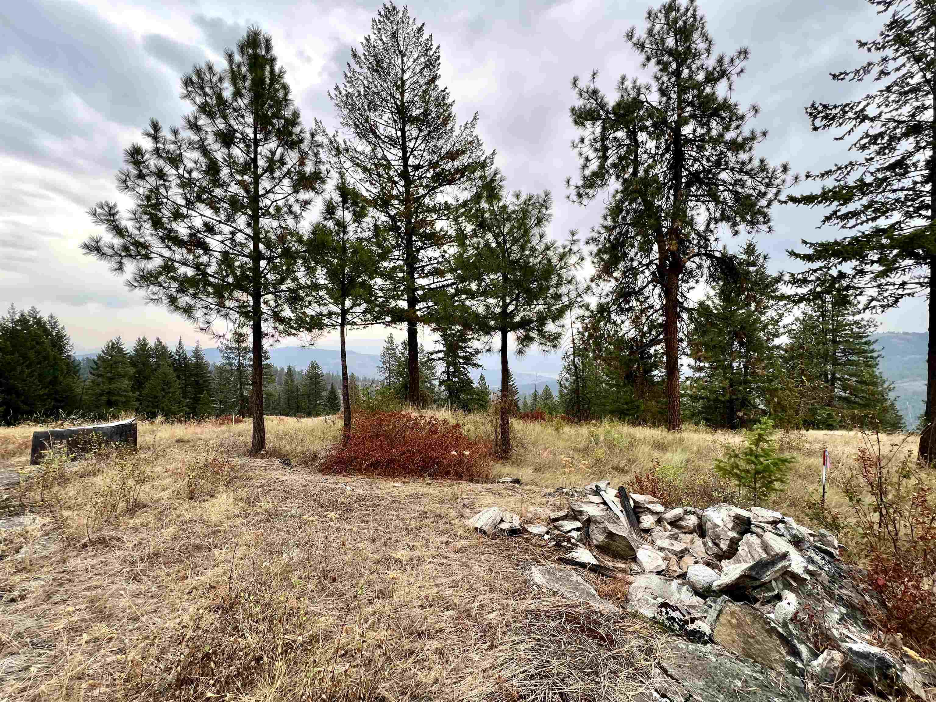 34 Peace Rdg Road Kettle Falls, WA 99141 - Photo 10 of 24