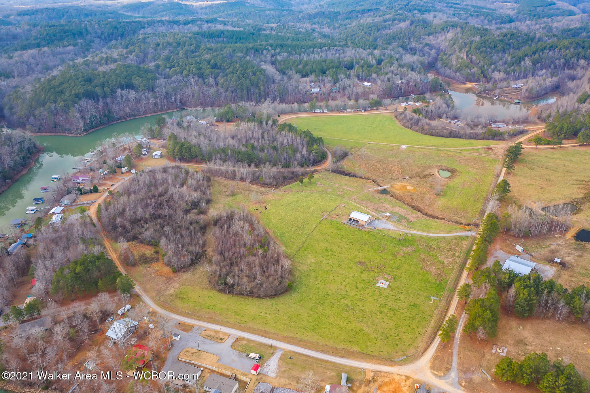 113 County Road Double Springs, AL 35553 - Photo 4 of 37 Gallery Image 4