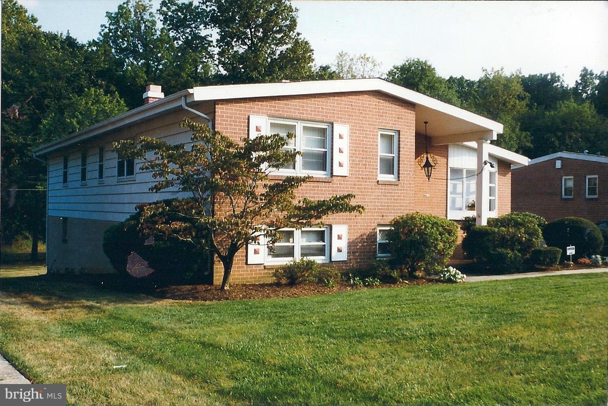Level Lot Backs to Trees
