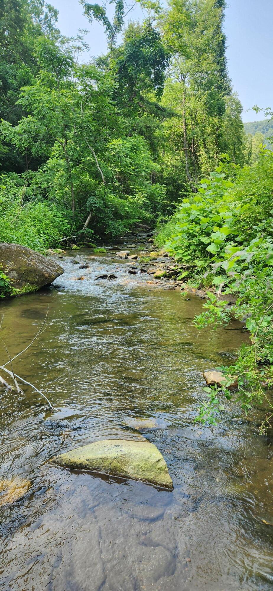 0 Runnett Bag Road Ferrum, VA 24088 - Photo 2 of 10