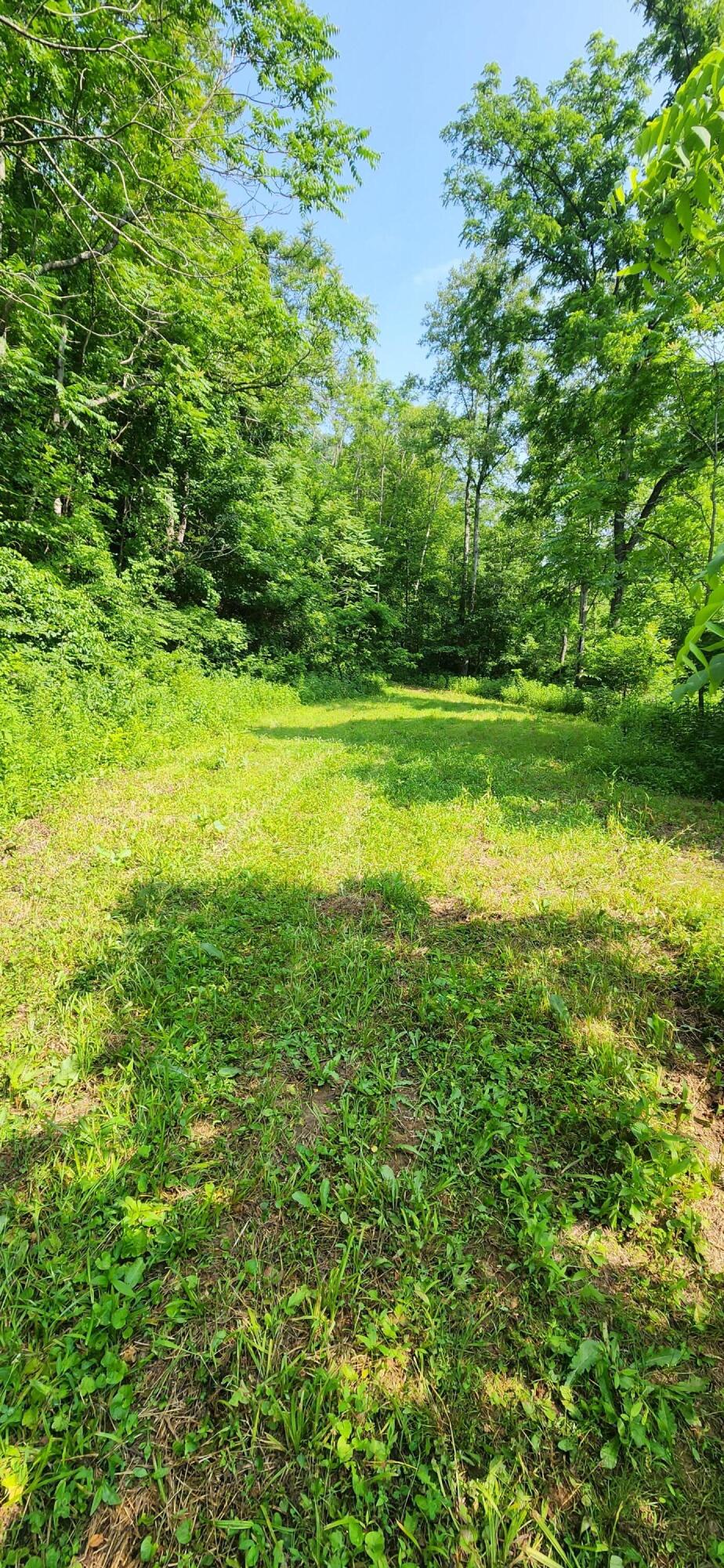 0 Runnett Bag Road Ferrum, VA 24088 - Photo 3 of 10 a view of yard with green space