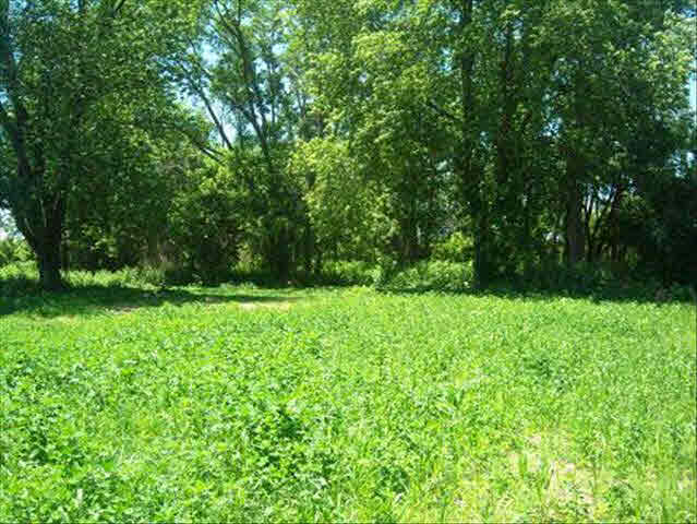 4951 South Custer Road Monroe, MI 48161 - Photo 5 of 6 Leveled area