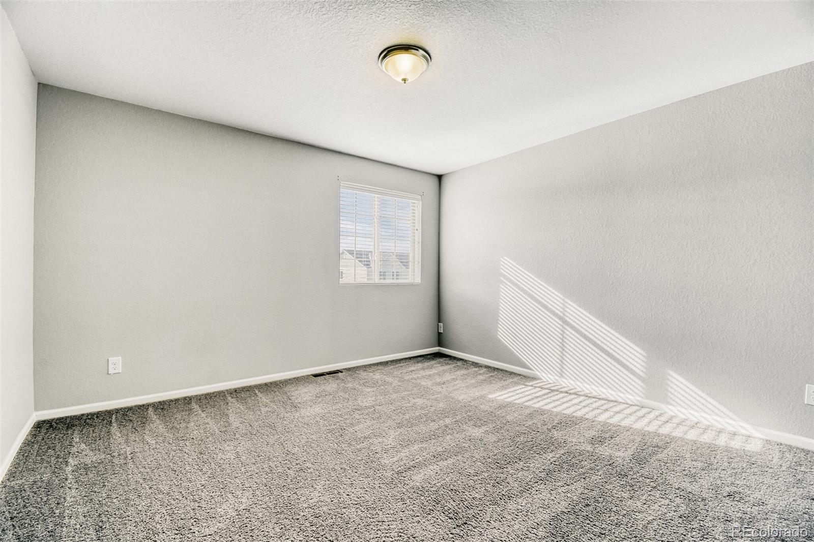 18977 Randolph Place Denver, CO 80249 - Photo 4 of 44