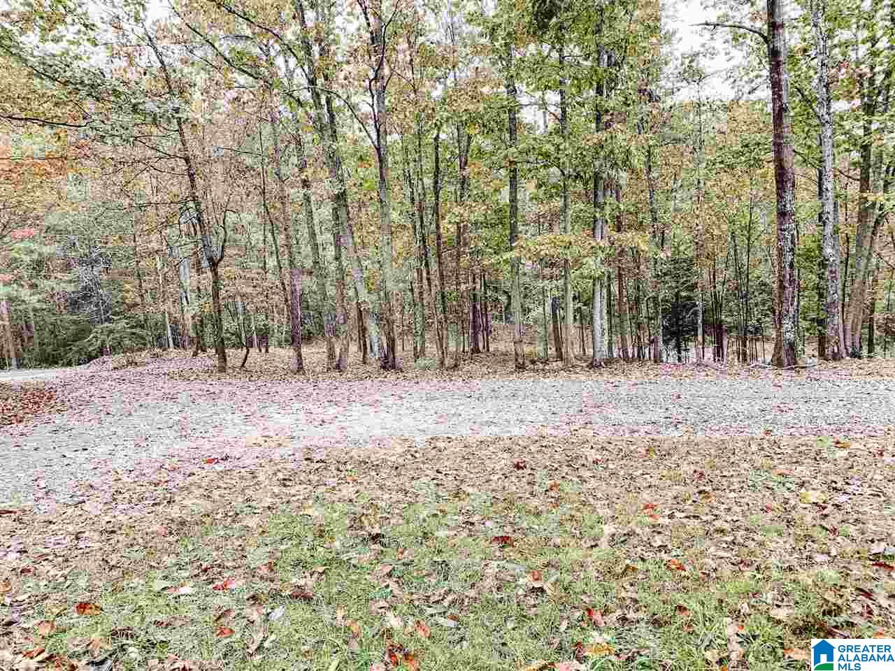 281 Colvin Springs Road Ashville, AL 35953 - Photo 3 of 34