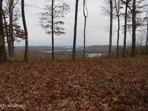 $174,900 | Lot 27 East C E Rockfish Road, Celina, TN 38551