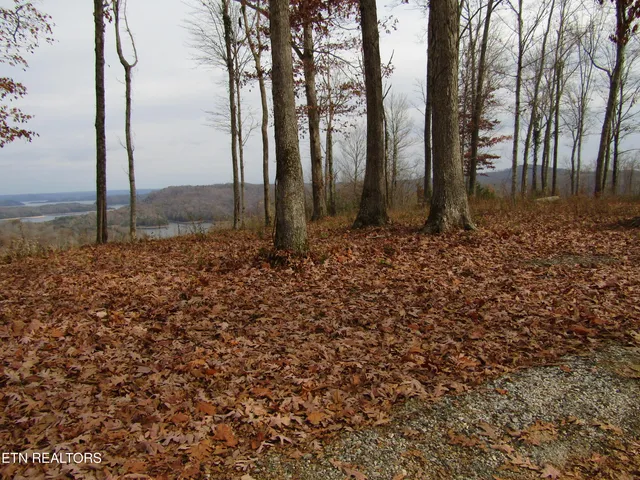 $174,900 | Lot 27 East C E Rockfish Road, Celina, TN 38551